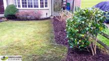 Garden Clearance Merton: How to clean your garden with six simple ways