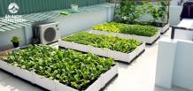 Ăn Sạch Uống Sạch - #1 Chuyên thiết kế, thi công trọn gói vườn rau sạch tại gia - Chăm sóc, cải tạo vườn rau tại gia hàng ngày