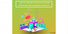 10 Tips to choose the right Custom Software Development Company | Chapter 247