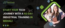  45-Day industrial training in Mohali