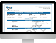 What is Business Information Report?- MNS