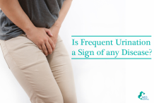 Is Frequent Urination a Sign of any Disease?