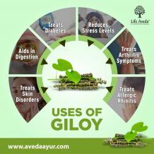 giloy benefits