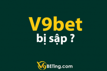 V9bet bi sap