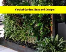 Vertical Garden Ideas