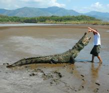 Viaje a medida por Costa Rica