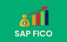 5 Key Benefits of Using SAP FICO