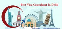 visa consultant 