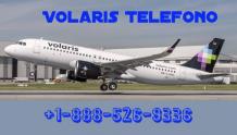 Volaris Telefono