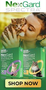 Christmas Sale 2023: Discounts on Cat Wormers | VetSupply