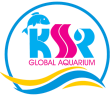 How to Make the Most of Your Family Vacation at KSR - KSR Global Aquarium