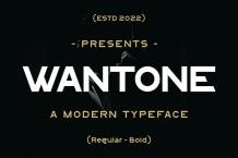 WANTONE Font