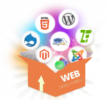 DHARIZ: Web Development Company in Chennai | Website Development Services