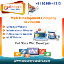 Web Development Company in Zirakpur 