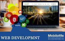 Web Application Development services from Mobiloitte!
