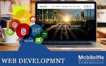 Best Website Development Company