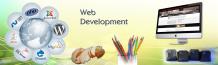   Web Development Agency USA |Best Web Development Services Spanaway|USA  