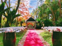 Wedding Venues West Auckland