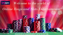 Online Bingo Slots UK Games at LadySpin: Welcome to the world of Online Bingo and Slots Entertainment!