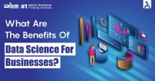 What Are The Benefits Of Data Science For Businesses?    