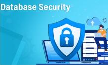 What Are the Best Practices of Database Security?