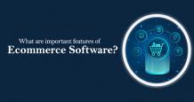 What are the Important Features of E-commerce Software?