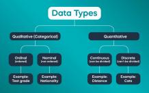 What Are The Types Of Data Used In Data Science?