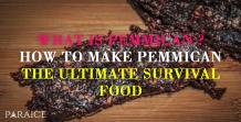  What is pemmican ? - How to Make Pemmican - The Ultimate Survival Food - Paraice Magazine : women's fashion, beauty, cooking magazine 