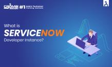 What is ServiceNow Developer Instance?