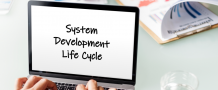 Explore the System Development Life Cycle and Phases