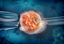 What to Do And Not to Do After Embryo Transfer?