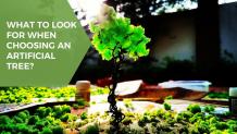 What to Look for When Choosing an Artificial Tree? - Rebecca Harris