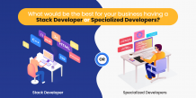What would be the best for your business having a Stack Developer or Specialized Developers?