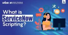 What is ServiceNow scripting?