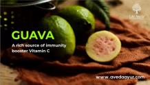 Guava - Super Fruit Medicinal Properties, Uses and Benefits