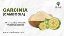 Garcinia - Garcinia Indica Properties, Uses and Health benefits