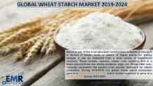 Wheat Starch Market Price Trends, Size, Share Growth, Report 2020-2025