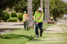 Garden Clean Up Services 