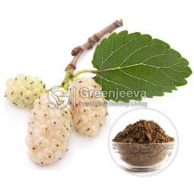 white mulberry leaf extract powder, white mulberry leaf, 