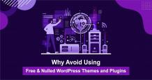 Why Avoid Using Free and Nulled WordPress Themes and Plugins?