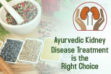 Ayurvedic Kidney Disease Treatment