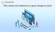 Why Custom Web Solutions Are Game-Changer in 2024?