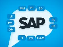 Why Is SAP FI Training So Important?