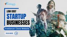 Why Low Cost Startup Businesses Prefer Freelancer Clone Website?