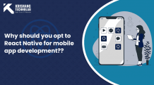 Why should you opt to react native for mobile app development?  