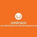 Why Umbraco Consider Best .Net CMS Platform for Web Development in Dubai?