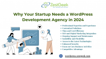 Why Your Startup Needs a WordPress Development Agency in 2024 &#8211; WordPress Zestgeek