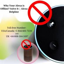 Why Your Alexa is Offline? Solution get lt here