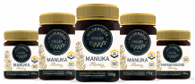 The Golden Nectar Of Auckland: Exploring The Enchanting World Of Manuka Honey By Wilderness Valley - Agrinoseeds