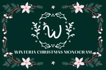 Winteria Christmas Monogram Font Free Download OTF TTF | DLFreeFont